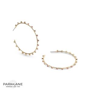 Park Lane Guava Earrings